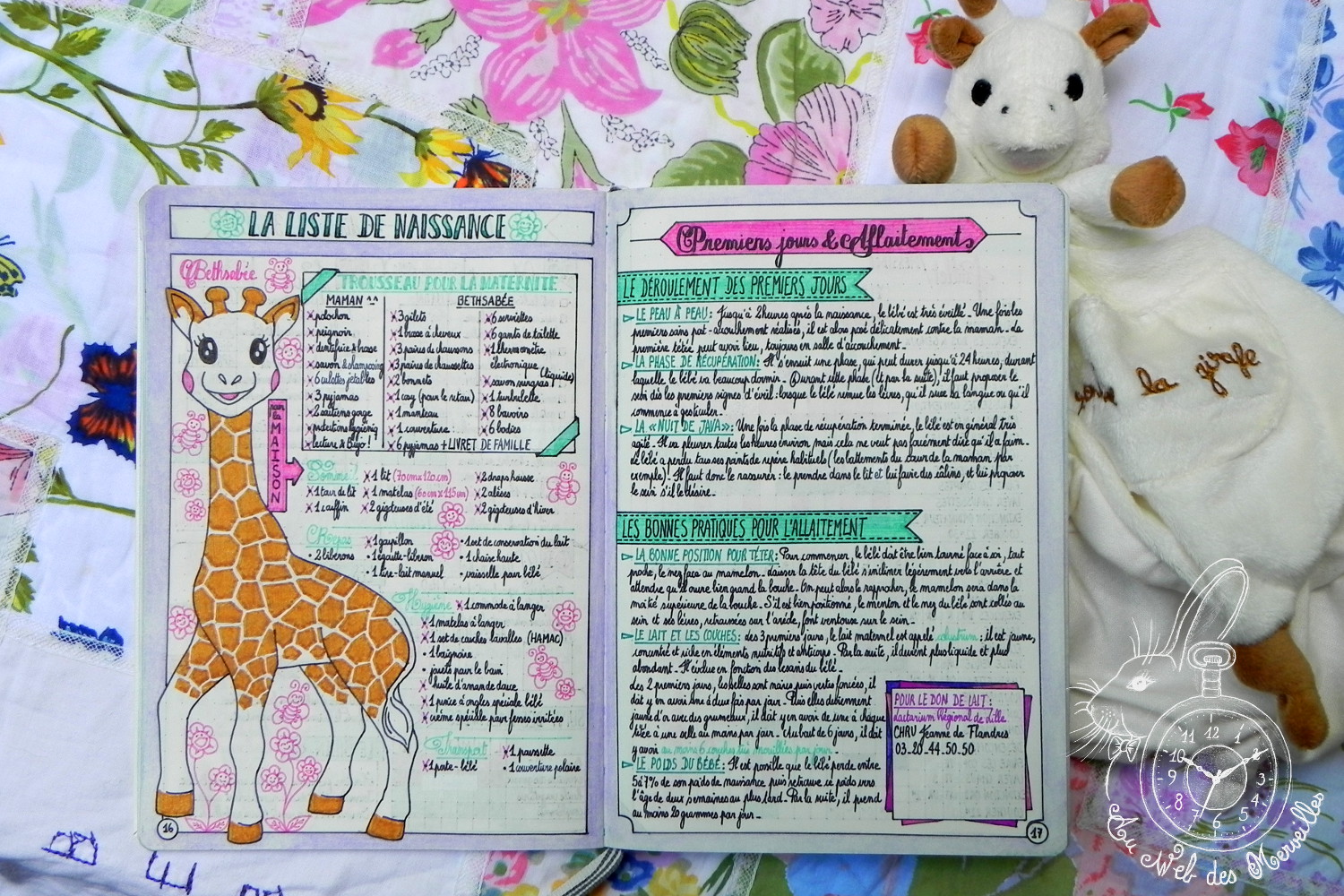bullet-journal-grossesse-liste