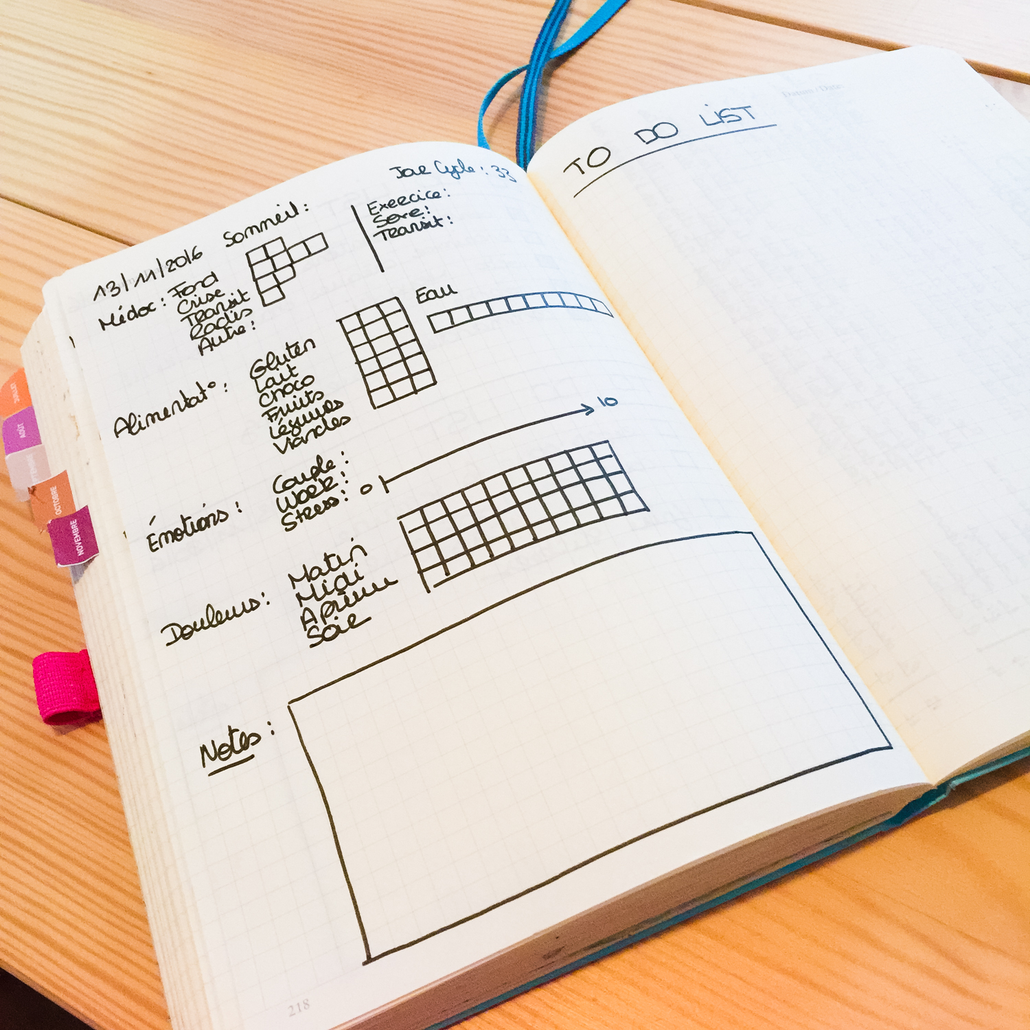bulletjournal-bilan-5mois